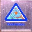 Badminton